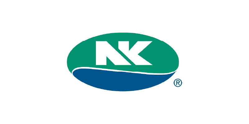 NK logo blue and green