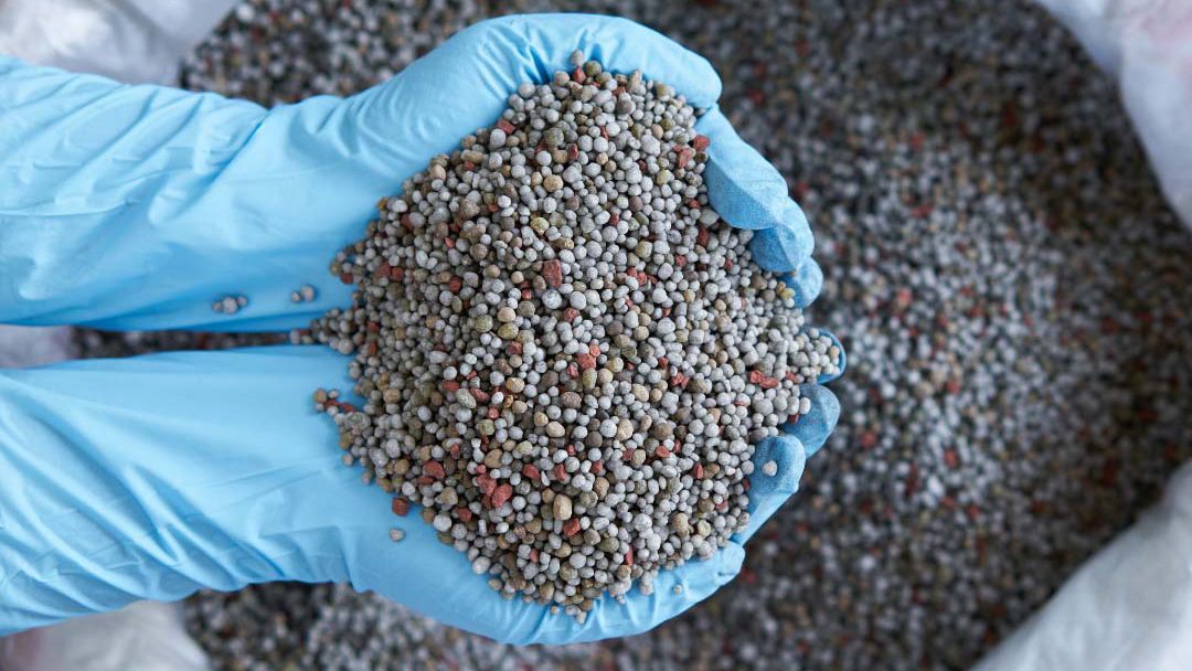 Hands wearing safety gloves and holding crop fertilizer